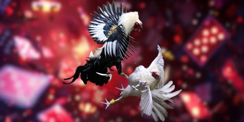 da-ga-ku68-3