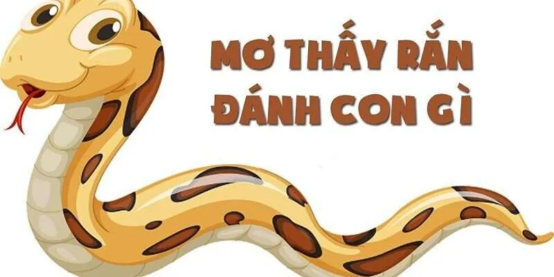 nam-mo-thay-ran-2